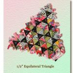 Gelijkzijdige driehoek (zijde 1,25 cm) De gelijkzijdige driehoek